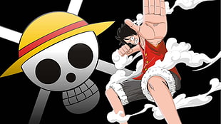 Monkey D. Luffy, One Piece, Monkey D. Luffy, anime, Jolly Roger HD wallpaper