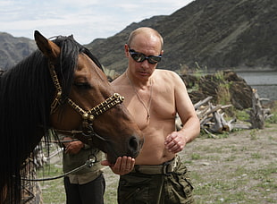 Vladimir Putin near brown horse during daytime