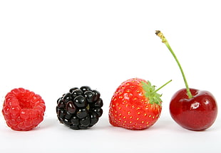 four round fruits with white background