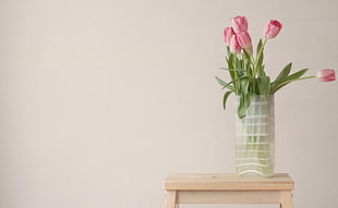 six pink tulips on vase HD wallpaper