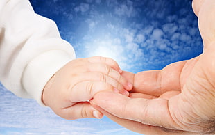 left baby's hand holding human hand HD wallpaper