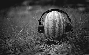 grayscale photo of watermelon and headphones, monochrome, watermelons, headphones, humor