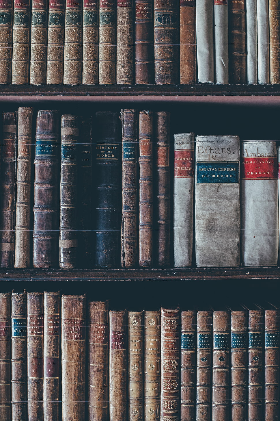 assorted-title books HD wallpaper