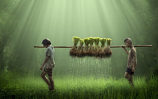 boy and girl lifting rice plant illustration