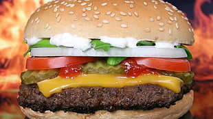 TLC hamburger, food, closeup, burger, cheese