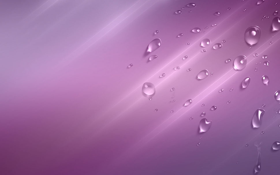 water droplets close up photo HD wallpaper