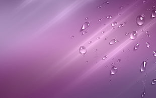 water droplets close up photo