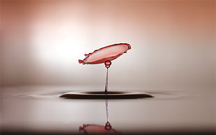 close-up photography of splash of water