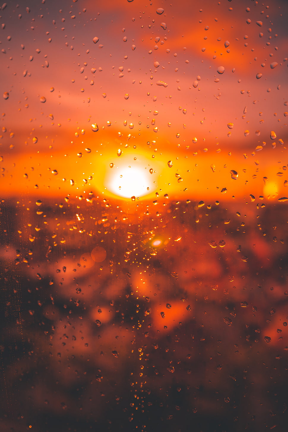 clear glass window, Glass, Drops, Surface HD wallpaper