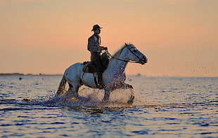 man riding horse crossing the calm sea during daytime