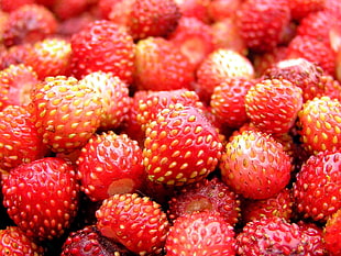red strawberries lot HD wallpaper