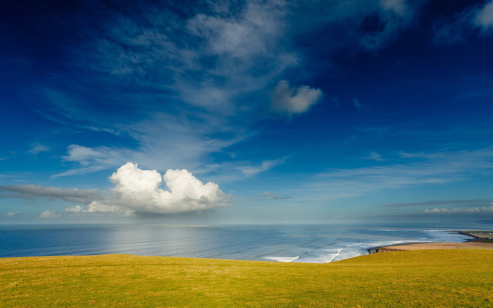 green field near the sea HD wallpaper