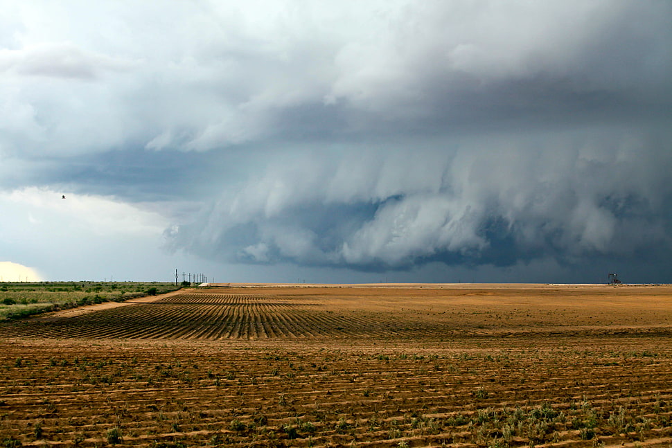 brown field under gray clouds during  daytime HD wallpaper