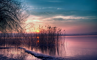 photography of body of water during sunset