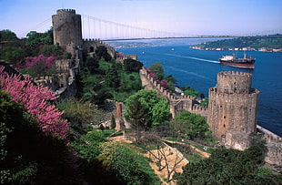 gray castle landmark, Turkish, bridge, castle, river