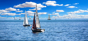 fleet of sailboat on sea under white clouds and blue sky during daytime HD wallpaper