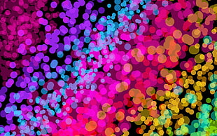 bokeh photography of assorted colors HD wallpaper