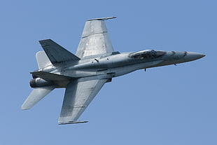 gray fighter jet, airplane, McDonnell Douglas F/A-18 Hornet, jet fighter, F/A-18 Hornet