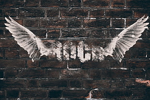 eagle illustration, wings, bricks, wall