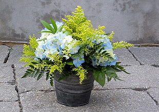 green,white and blue flower arrangement in gray pot