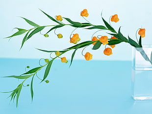 clear glass flower vase with orange petaled flowers