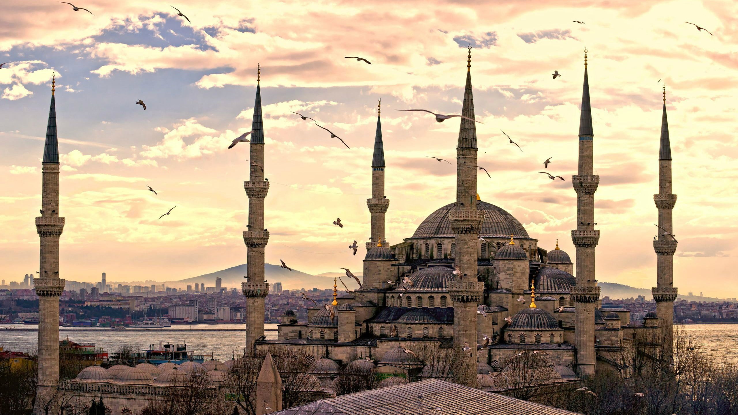 Hagia Sophia mosque, mosque, Turkey, Sultan Ahmed Mosque