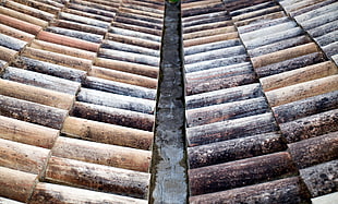 gray and brown area rug, rooftops