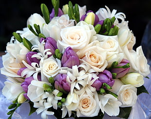 white Rose and purple Tulip flower bouquet