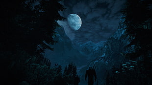 man in woods illustration, The Witcher, The Witcher 3: Wild Hunt, night, Moon