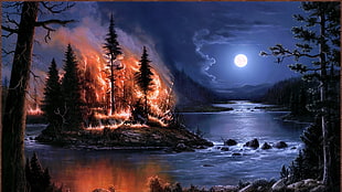 landscape photography of burning trees surrounded by body of water during night painting