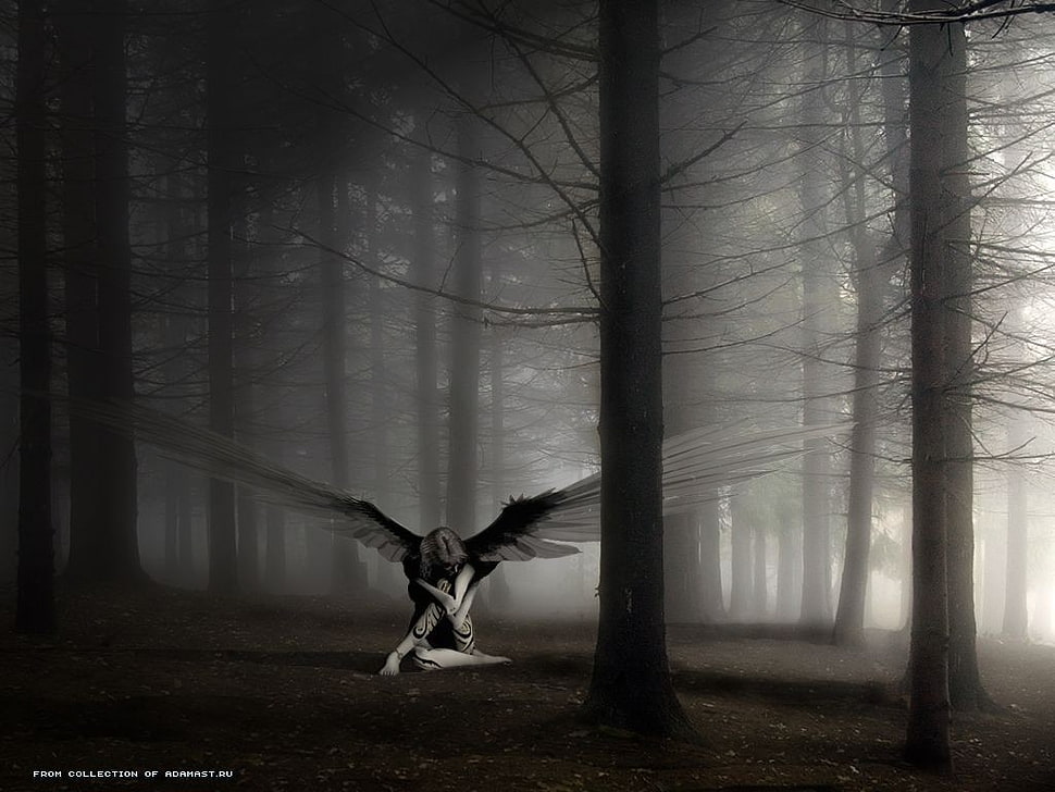 angel, fantasy art, angel, dark fantasy, trees HD wallpaper