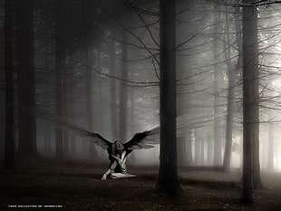 angel, fantasy art, angel, dark fantasy, trees