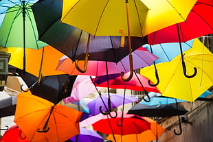 bottom view shot of assorted colored umbrellas