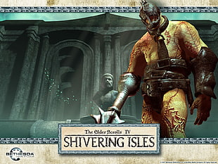 black and brown wooden figurine, video games, The Elder Scrolls IV: Oblivion, Shivering Isles HD wallpaper
