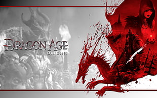Dragon Age Origins poster