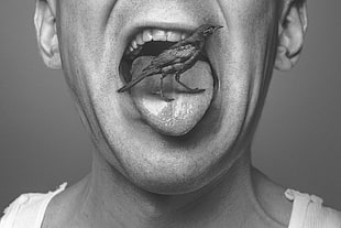 grayscale photography of black bird on man tongue