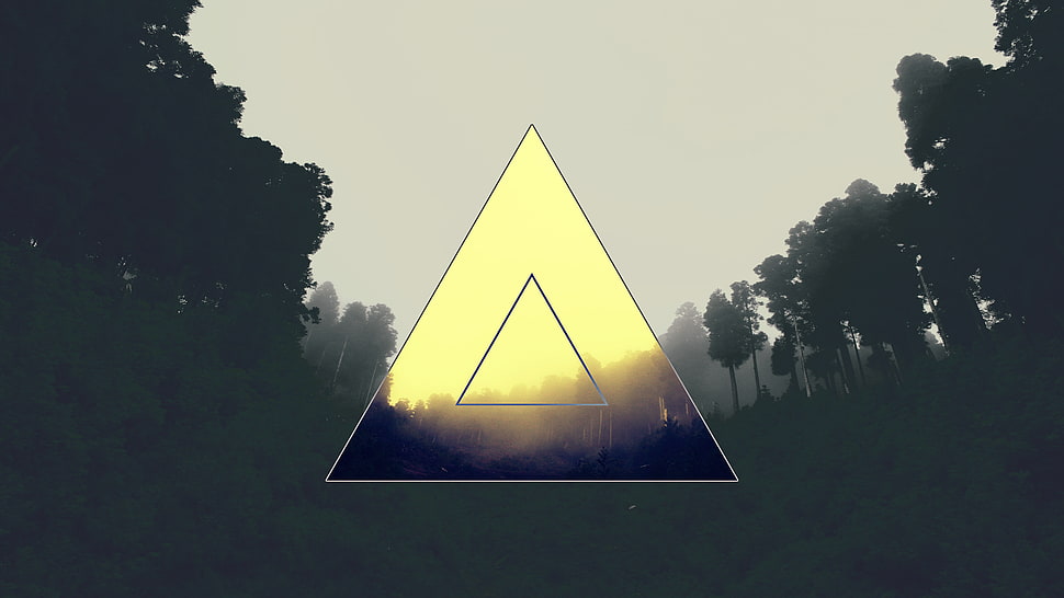 triangle logo, triangle, forest, polyscape HD wallpaper