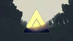 triangle logo, triangle, forest, polyscape