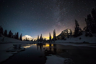 pine tress, stars, snow, lake HD wallpaper