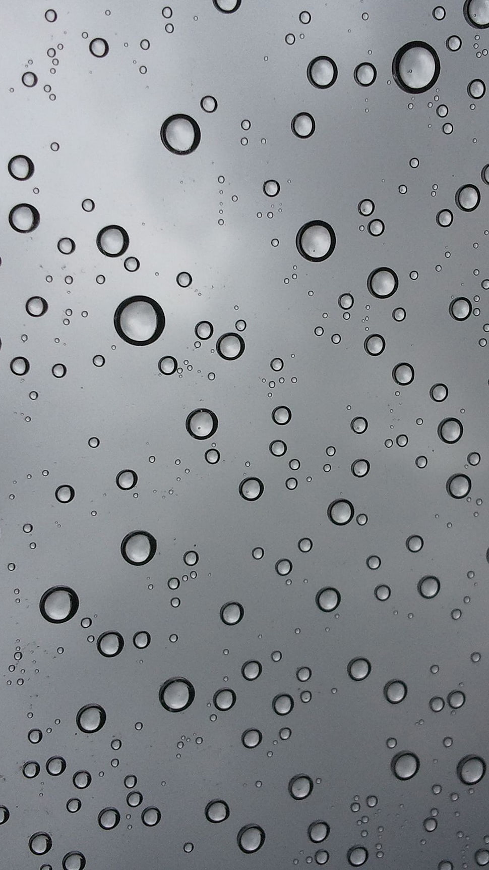 gray and black dew illustration, water drops HD wallpaper