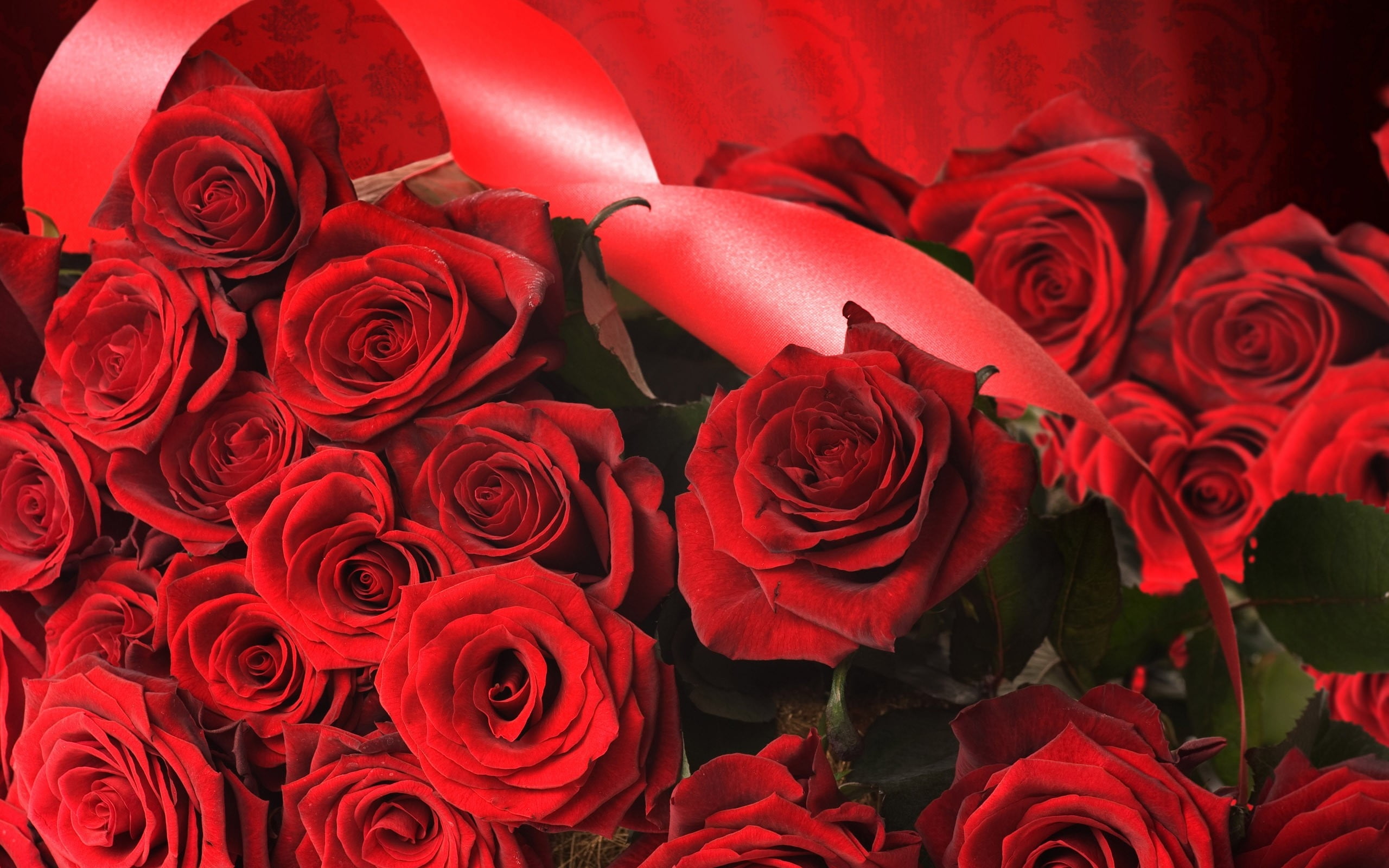 Red Rose bouquet HD wallpaper | Wallpaper Flare