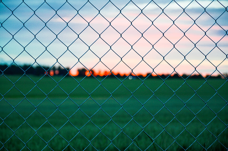 focus photography of chain link fence HD wallpaper
