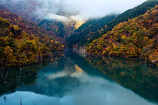 lake in between mountains at daytime HD wallpaper