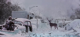 Buck on snow field surrounded by junk cars