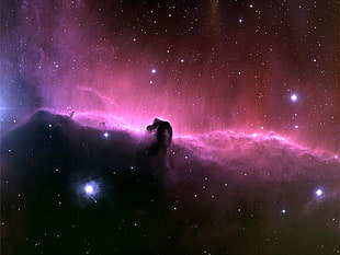 purple and black nebula digital wallpaper, space, Horsehead Nebula, nebula, space art