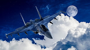 grey fighter plane, Aviator, Sukhoi Su-27 HD wallpaper