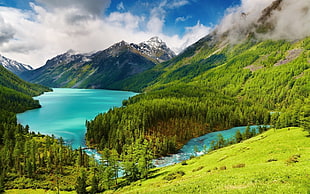 photography of river with mountains