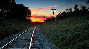 train rail  scenery during sunset, myrtle station