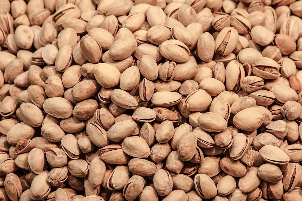 bunch of nuts HD wallpaper
