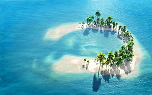 sandbar, island, sea, palm trees, digital art